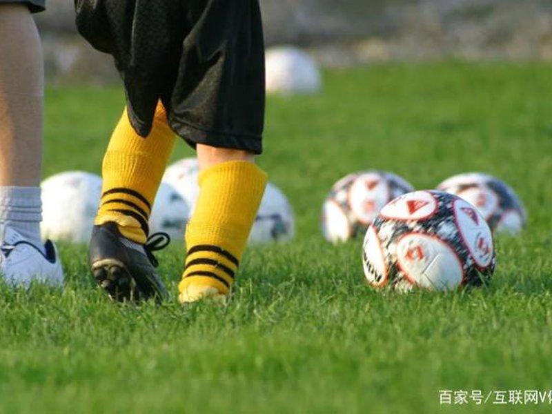 开云概况
